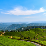 Why Munnar Remains Kerala’s Most Loved Hill Station