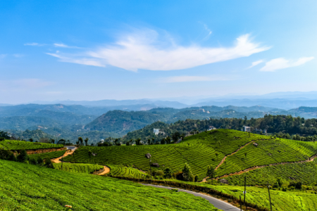 Why Munnar Remains Kerala’s Most Loved Hill Station