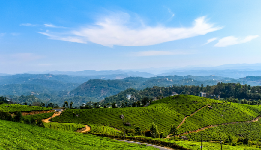 Why Munnar Remains Kerala’s Most Loved Hill Station