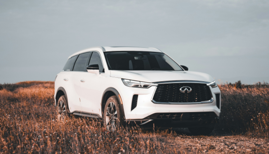 How to Choose the Perfect Car Rental for Your Family Trip