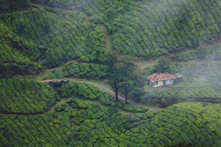 10 Essential Tips for a Hassle-Free Kerala Tour