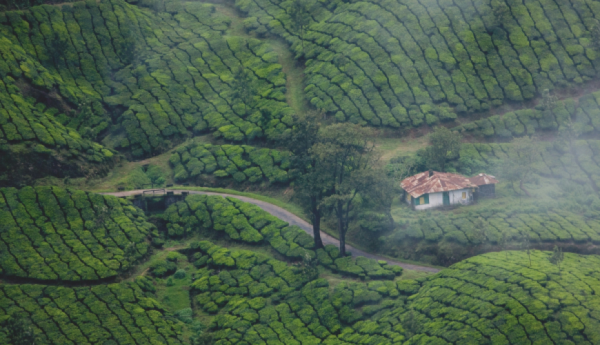 10 Essential Tips for a Hassle-Free Kerala Tour
